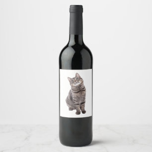 Étiquette Pour Bouteilles De Vin Cute tabby Cat