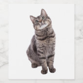 Étiquette Pour Bouteilles De Vin Cute tabby Chat (Étiquettes simples)