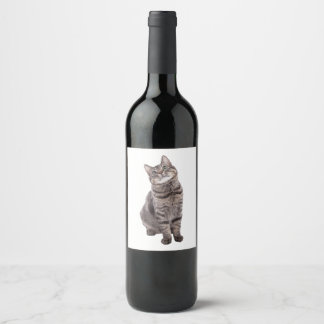 Étiquette Pour Bouteilles De Vin Cute tabby Chat