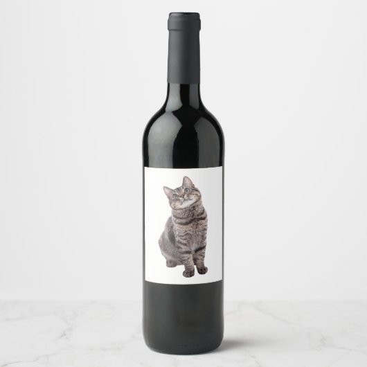 Étiquette Pour Bouteilles De Vin Cute tabby Chat (Devant)