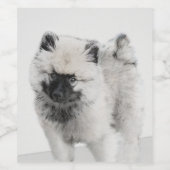 Étiquette Pour Bouteilles De Vin Dessin Keeshond Chiot - Joli dessin original Chien (Étiquettes simples)