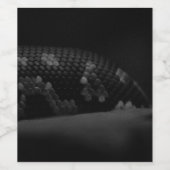 Étiquette Pour Bouteilles De Vin Échelles BW (Étiquettes simples)