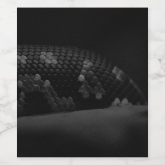 Étiquette Pour Bouteilles De Vin Échelles BW (Étiquettes simples)