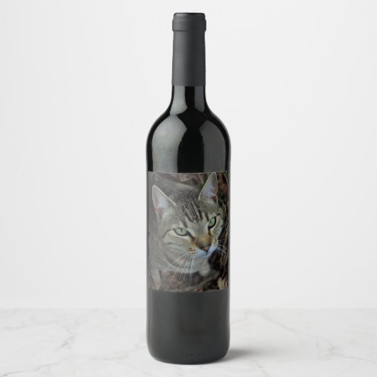 Étiquette Pour Bouteilles De Vin Eros (Devant)