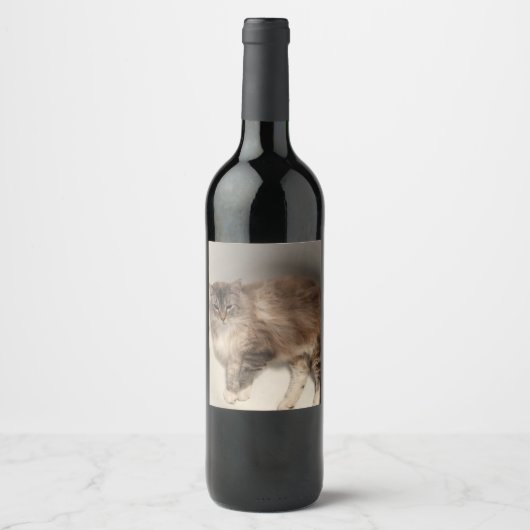 Étiquette Pour Bouteilles De Vin Étiquette de bouteille de chat (Devant)