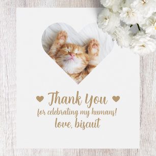 Étiquette Pour Bouteilles De Vin Étiquette de vin de mariage pour chat photo person