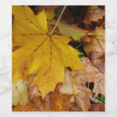 Étiquette Pour Bouteilles De Vin Fallen Maple Feuille Jaune Automne Nature (Étiquettes simples)