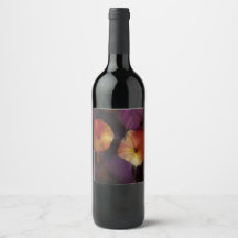 Fleurs de gloire du matin