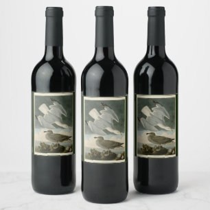 Étiquette Pour Bouteilles De Vin Goéland argenté des oiseaux américains de John Aud