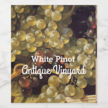 Graisses BLANCHES Soirée de dégustation de vin bla