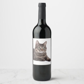 Étiquette Pour Bouteilles De Vin Gray Tabby Cat