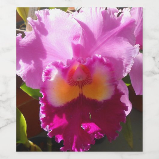 Étiquette Pour Bouteilles De Vin Harlinde (Étiquettes simples)