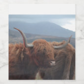 Étiquette Pour Bouteilles De Vin Highland Cow (Étiquettes simples)