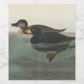 Étiquette Pour Bouteilles De Vin Impression de Macreuse noire d'Audubon : Canard cô (Étiquettes simples)