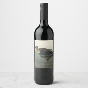 Étiquette Pour Bouteilles De Vin Impression de Macreuse noire d'Audubon : Canard cô