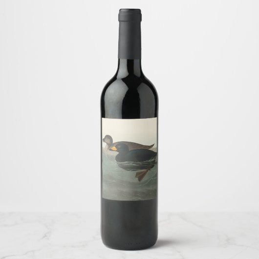 Étiquette Pour Bouteilles De Vin Impression de Macreuse noire d'Audubon : Canard cô (Devant)