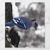 Étiquette Pour Bouteilles De Vin Jay bleu hiver (Étiquettes simples)