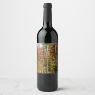 Étiquette Pour Bouteilles De Vin L'automne dans la forêt Photographie d'automne col