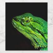 Étiquette Pour Bouteilles De Vin Lézard de dragon (Étiquettes simples)