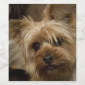 Étiquette Pour Bouteilles De Vin Magnifique Yorkshire Terrier (Étiquettes simples)