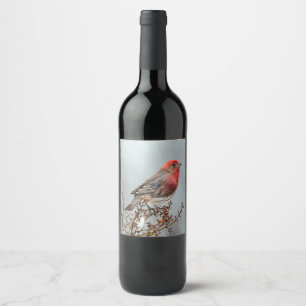 Étiquette Pour Bouteilles De Vin Maison Finch en Neige - Photo originale