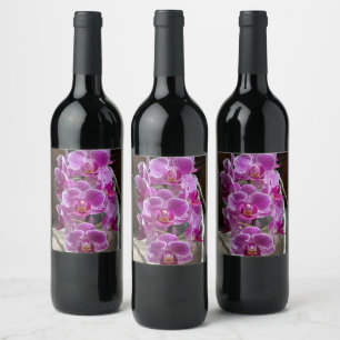 Étiquette Pour Bouteilles De Vin Mini Phalaenopsis Sogo Vivien Orchidée violet