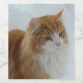 Étiquette Pour Bouteilles De Vin Norwegian_Forest_Cat (Étiquettes simples)