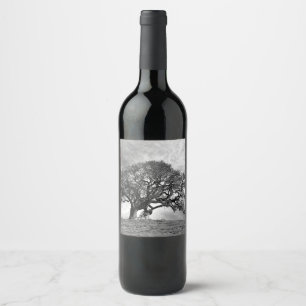 ÉTIQUETTE POUR BOUTEILLES DE VIN OAK-ARBRE
