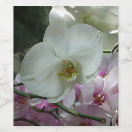 Étiquette Pour Bouteilles De Vin Orchidées blanches et violettes (Étiquettes simples)