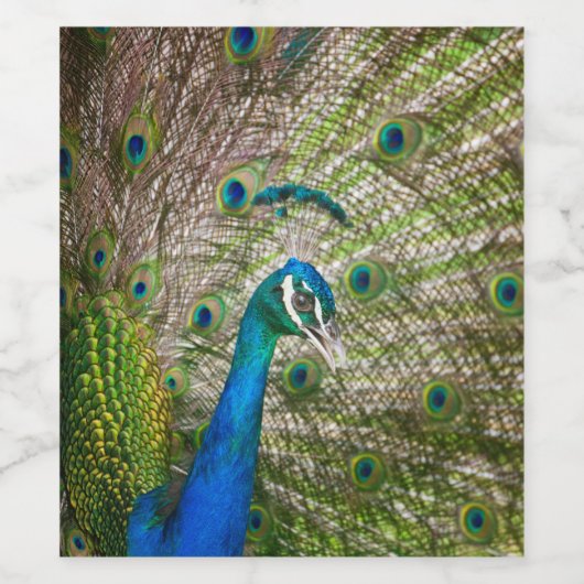 Étiquette Pour Bouteilles De Vin Pacock (Étiquettes simples)