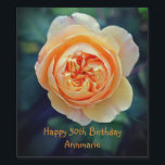 Étiquette Pour Bouteilles De Vin Peach Orange Garden Rose Flower Fun 50th Birthday<br><div class="desc">Complétez votre vino préféré avec le Étiquette à vin Peach Orange Garden Rose Flower 50th Birthday Wine. Plongé dans la teinte ensoleillée d'orange et de pêche ; orné d'un motif rose récurrent décoré avec goût, il promet un festin oculaire avant le début de la véritable fête. Un splendide cadeau d'anniversaire...</div>