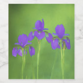 Étiquette Pour Bouteilles De Vin Peinture Iris Violet - Art Fleur Originale (Étiquettes simples)