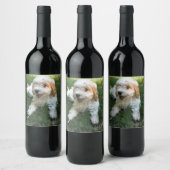 Étiquette Pour Bouteilles De Vin Photo Cavachon customisée, Chien (Bouteilles)
