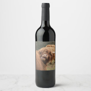 Étiquette Pour Bouteilles De Vin Photographie de vache des Highlands écossaise