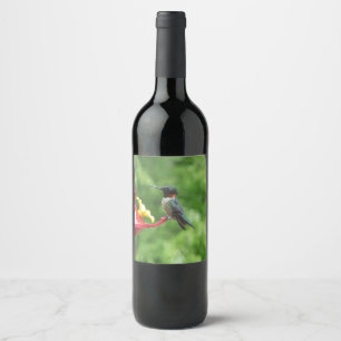 Étiquette Pour Bouteilles De Vin Photographie d'oiseau Colibri à gorge rubis