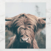 Étiquette Pour Bouteilles De Vin Portrait de vache Highland (Étiquettes simples)