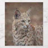 Étiquette Pour Bouteilles De Vin Portrait d'un Bobcat (Étiquettes simples)