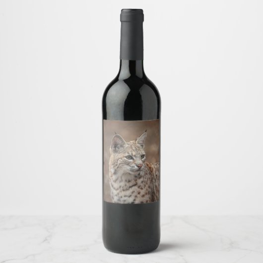 Étiquette Pour Bouteilles De Vin Portrait d'un Bobcat (Devant)