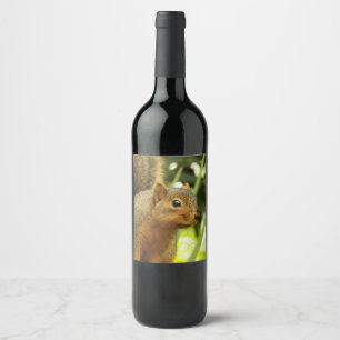 Étiquette Pour Bouteilles De Vin Portrait d'un écureuil Nature Animal Photographie