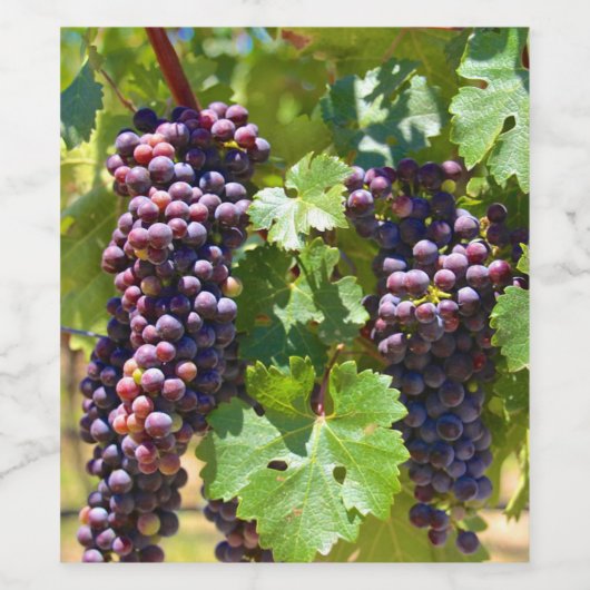 Étiquette Pour Bouteilles De Vin Raisins (Étiquettes simples)