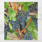 Étiquette Pour Bouteilles De Vin Raisins pourpres (Étiquettes simples)