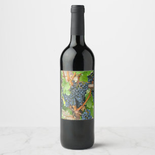 Étiquette Pour Bouteilles De Vin Raisins pourpres