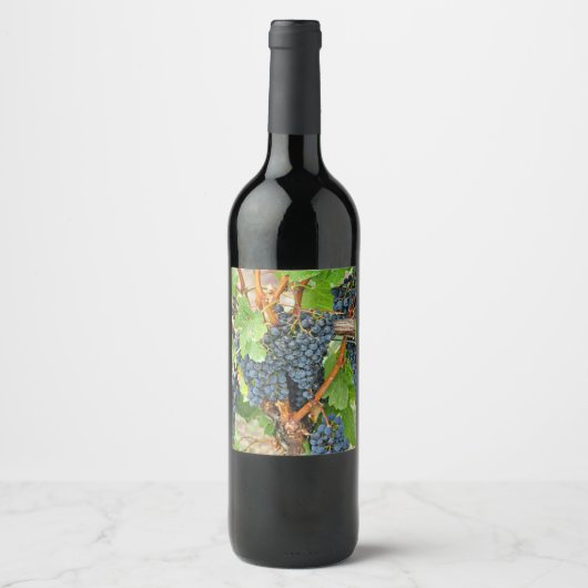 Étiquette Pour Bouteilles De Vin Raisins pourpres (Devant)