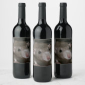 Étiquette Pour Bouteilles De Vin Rat curieux (Bouteilles)