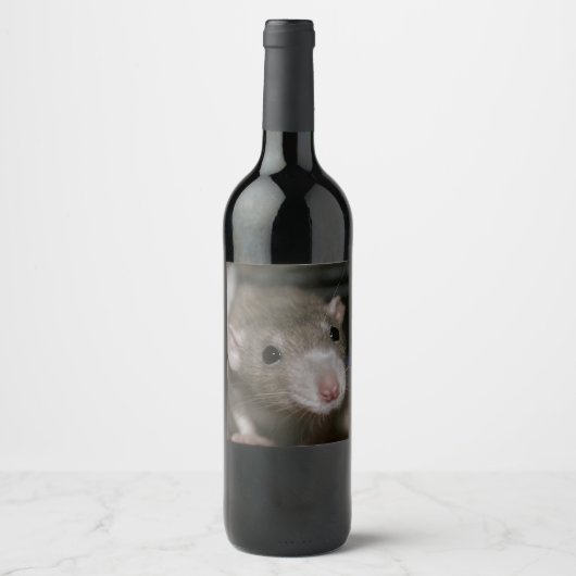 Étiquette Pour Bouteilles De Vin Rat curieux (Devant)