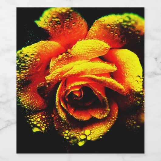 Étiquette Pour Bouteilles De Vin Rose (Étiquettes simples)