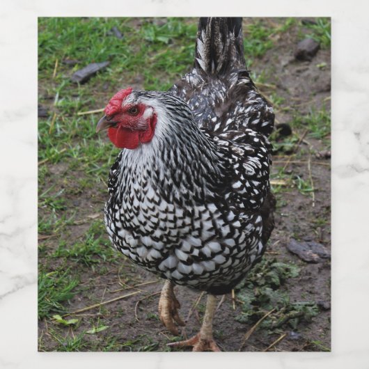 Étiquette Pour Bouteilles De Vin Ruth (Étiquettes simples)