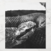 Étiquette Pour Bouteilles De Vin Serpent noir et blanc (Étiquettes simples)