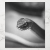 Étiquette Pour Bouteilles De Vin Serpent noir et blanc (Étiquettes simples)