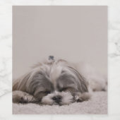 Étiquette Pour Bouteilles De Vin Shih tzu Sleeping Wine Étiquette, Sleeping Chien (Étiquettes simples)